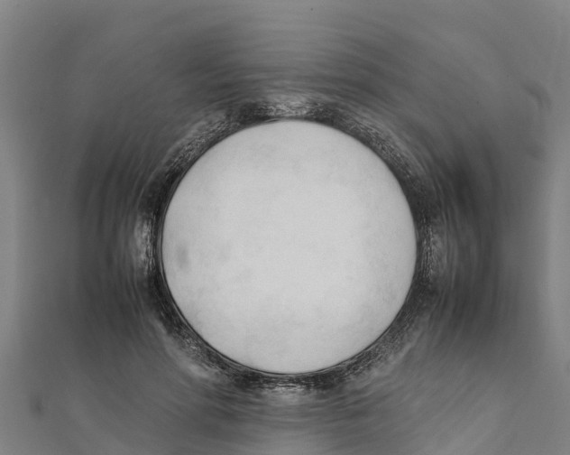 X0000111600598200908131405