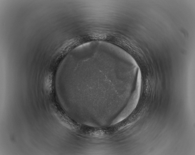 X0000111600600200908131405