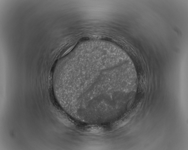 X0000111600601200908131405