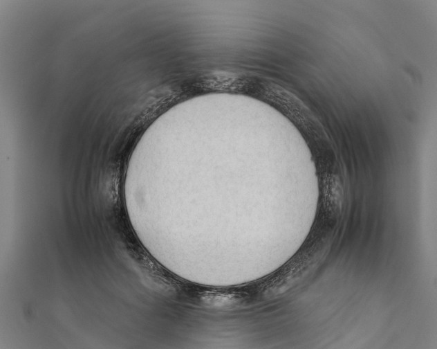 X0000111600602200908131405