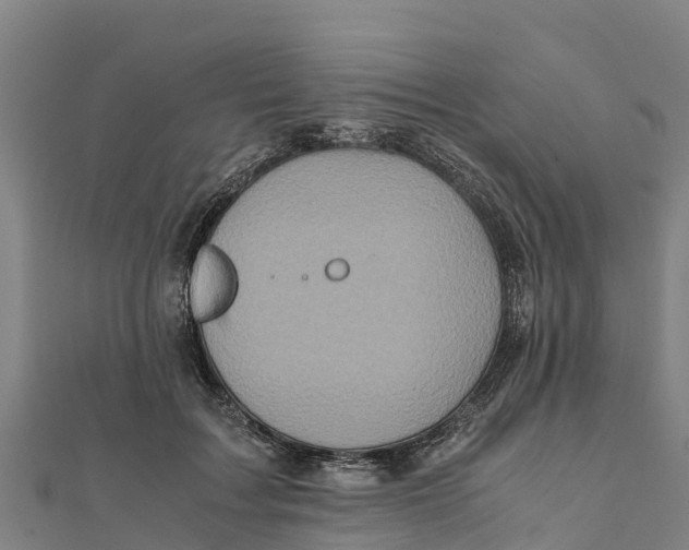 X0000111600603200908131405
