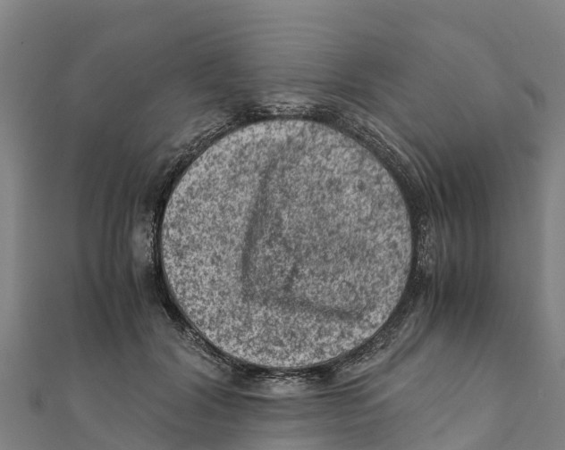 X0000111600604200908131405
