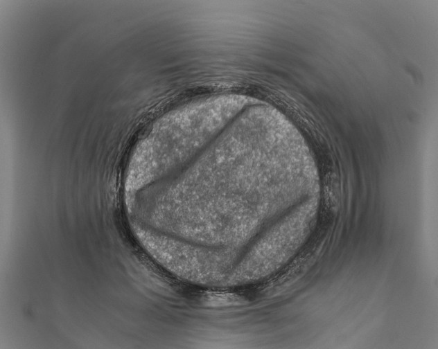 X0000111600605200908131405