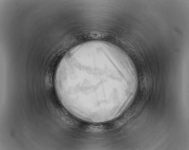 X0000111600606200908131405
