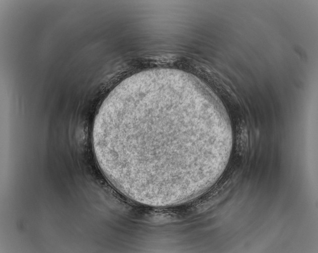 X0000111600608200908131405