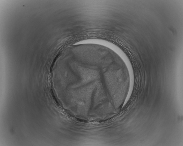X0000111600609200908131405