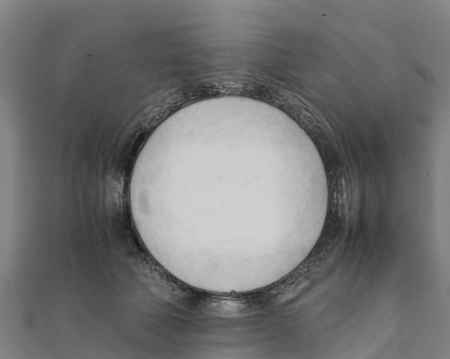 X0000111600610200908131405
