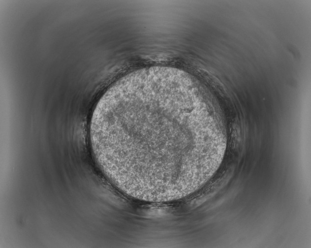 X0000111600612200908131405