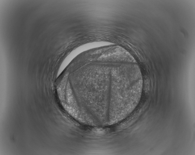 X0000111600613200908131404