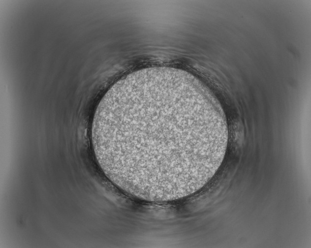 X0000111600615200908131404