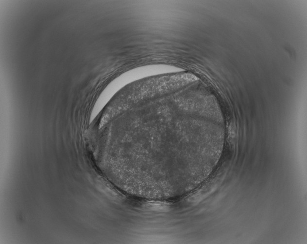 X0000111600617200908131404