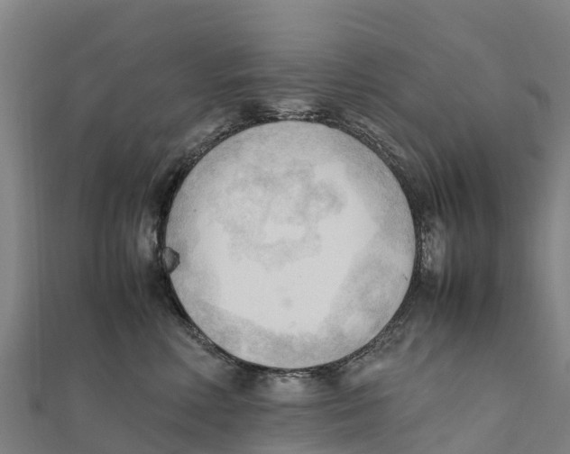 X0000111600618200908131404