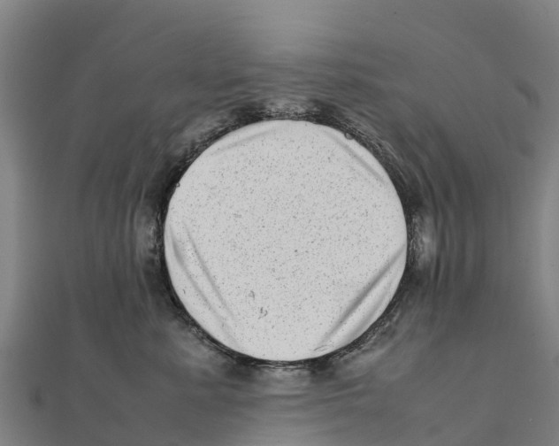 X0000111600619200908131404