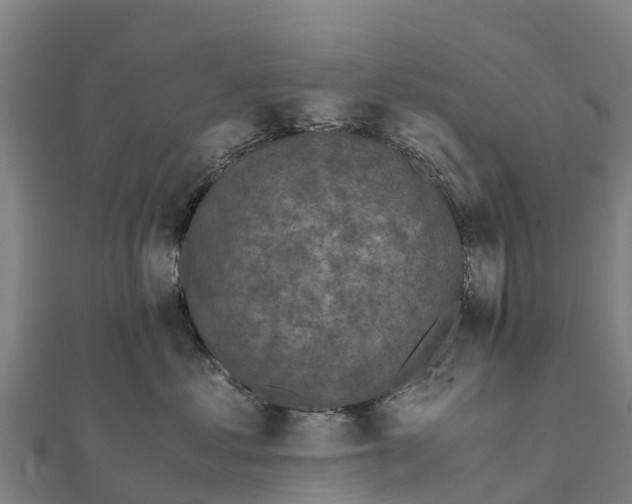 X0000111600621200908131404