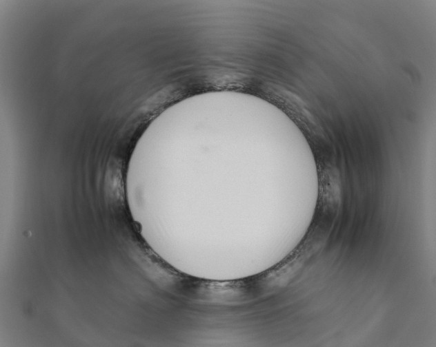 X0000111600622200908131404
