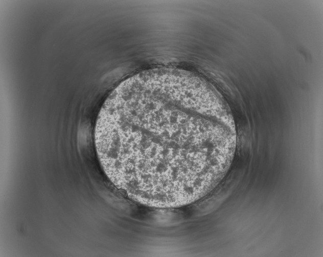 X0000111600623200908131404