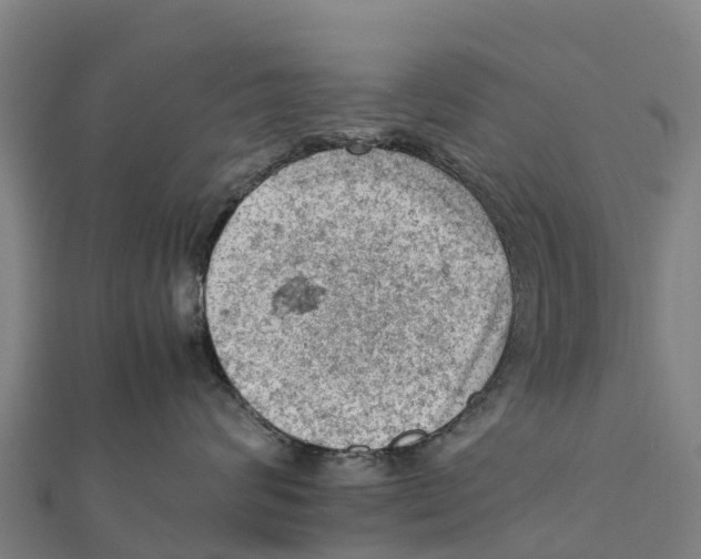 X0000111600624200908131404