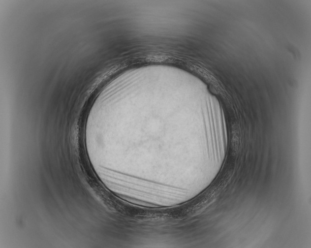 X0000111600626200908131404