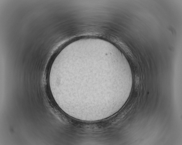 X0000111600628200908131404