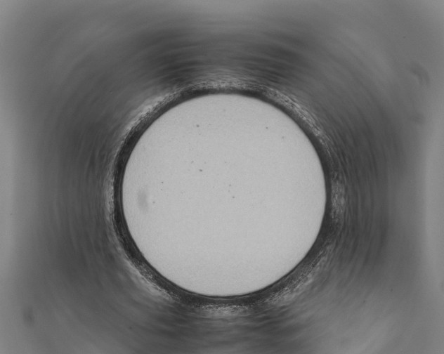 X0000111600629200908131404
