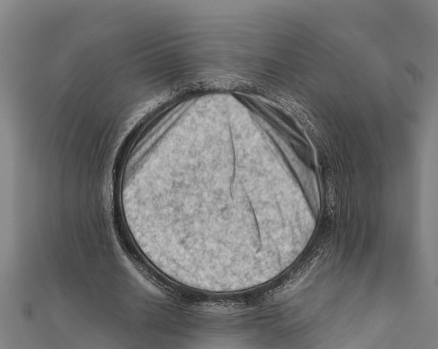 X0000111600630200908131404