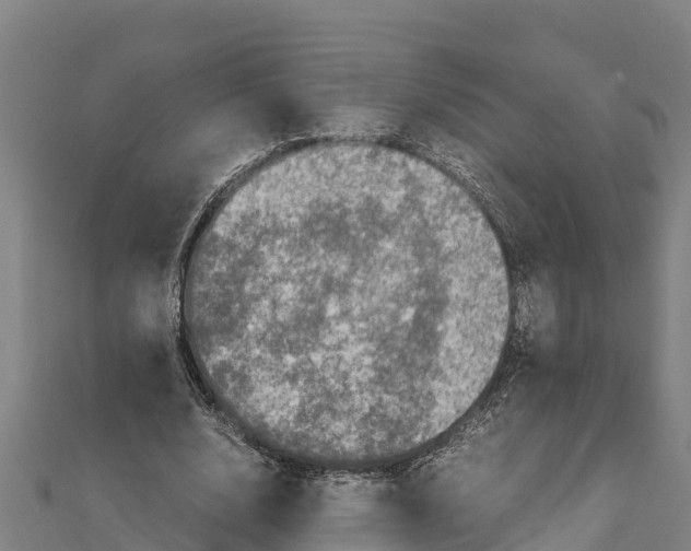 X0000111600632200908131404