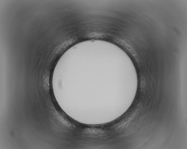 X0000111600633200908131404