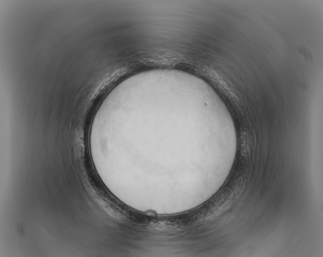 X0000111600634200908131404