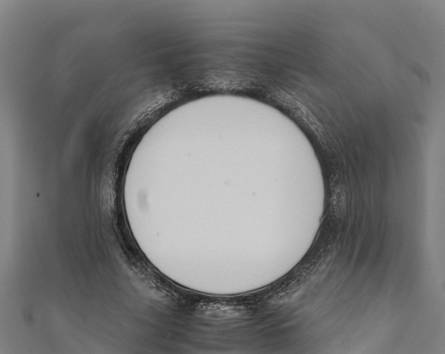 X0000111600635200908131404