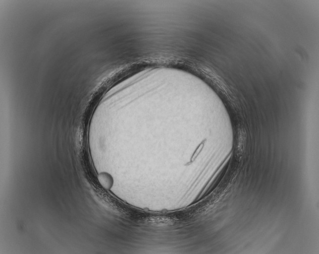 X0000111600636200908131404