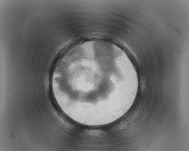 X0000111600637200908131404