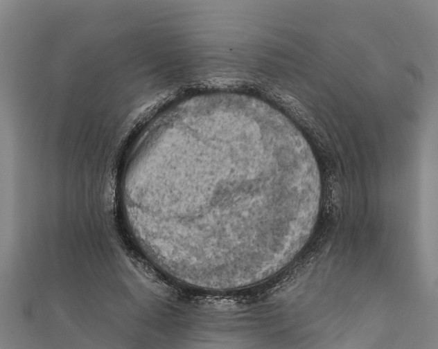 X0000111600640200908131404