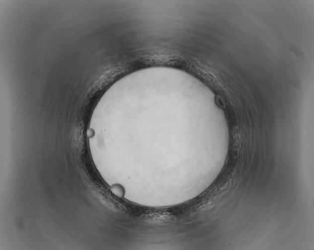 X0000111600642200908131404
