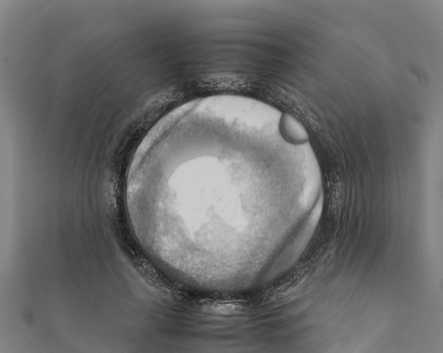 X0000111600643200908131404
