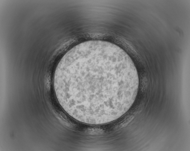 X0000111600644200908131404