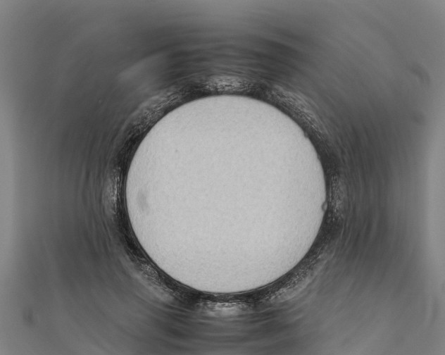 X0000111600645200908131404
