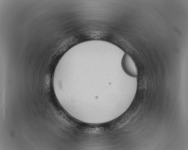 X0000111600646200908131404