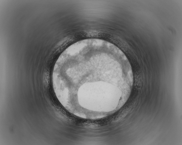 X0000111600648200908131404