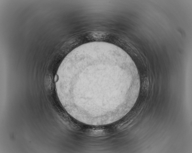 X0000111600651200908131404