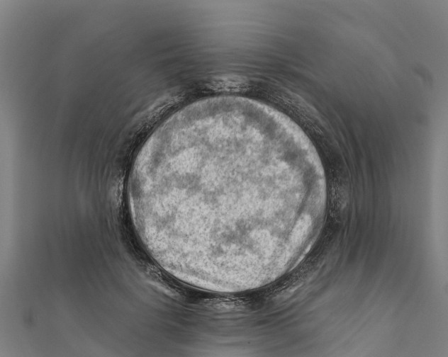 X0000111600652200908131404