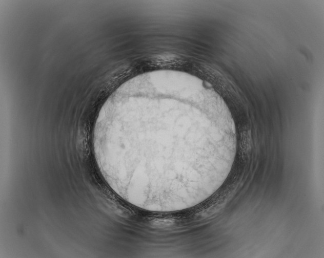 X0000111600653200908131404
