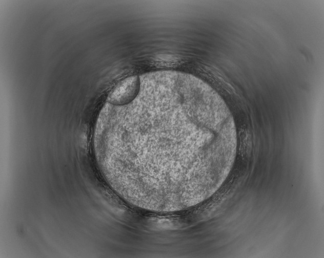 X0000111600655200908131404