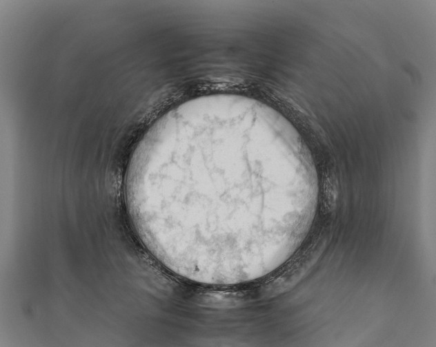 X0000111600657200908131404