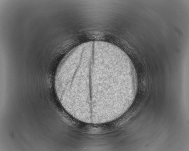 X0000111600658200908131404