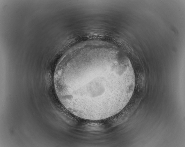 X0000111600659200908131404