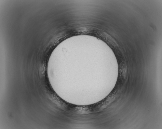 X0000111600660200908131404