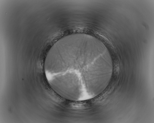 X0000111600661200908131404