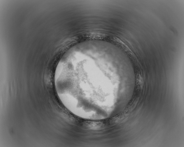 X0000111600663200908131404