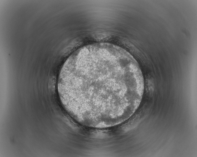 X0000111600664200908131404