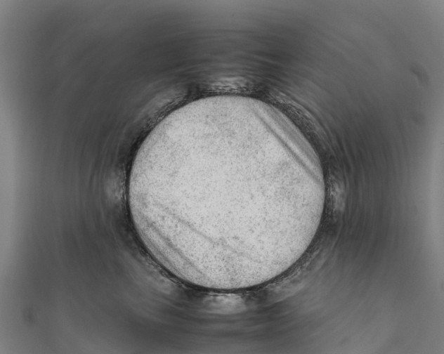 X0000111600665200908131404